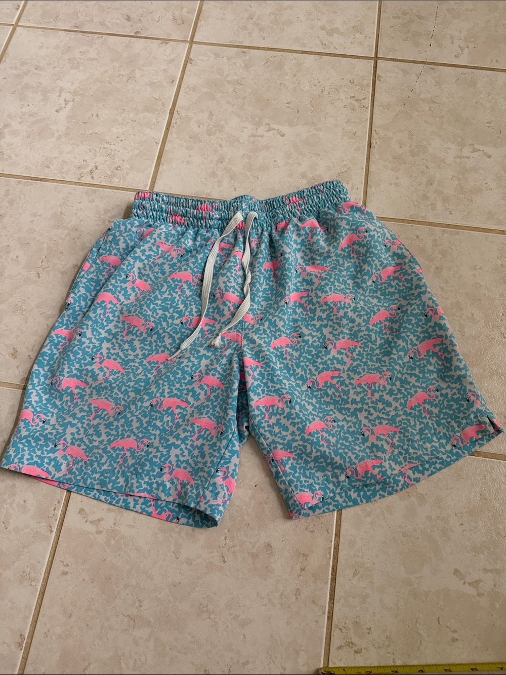Chubbies Swimtrunks